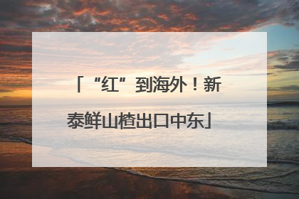“红”到海外！新泰鲜山楂出口中东